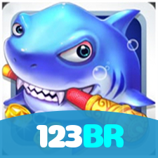 123BR visual